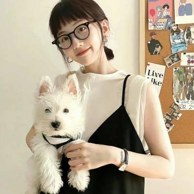 乱世书香