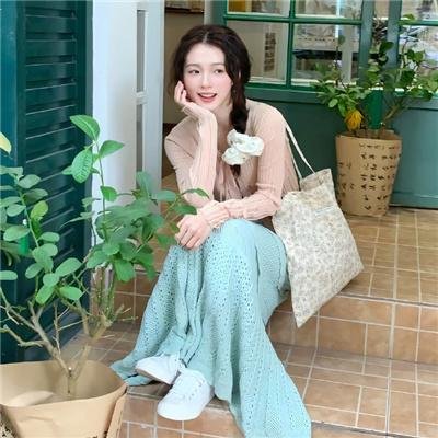 秀水河子歼灭战
